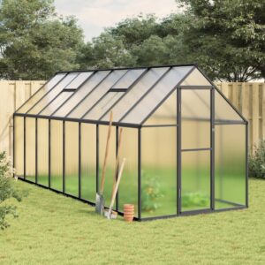 Serre de jardin 7,04 m2 Anthracite en anthracite et transparent