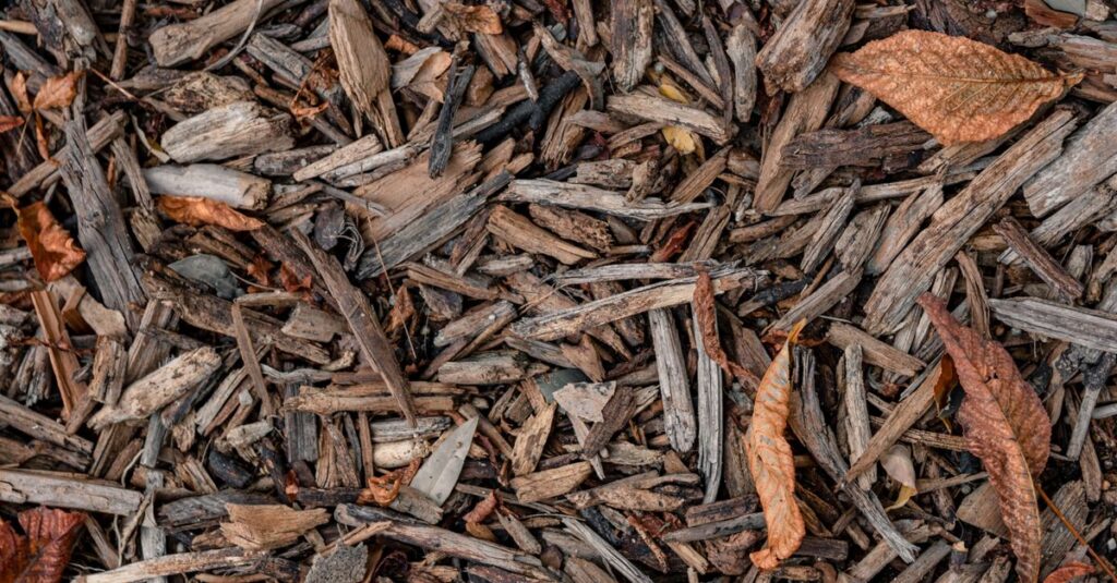 apprenez tout sur le compost : ses avantages, comment le créer facilement chez vous, et contribuer à un jardinage écologique et durable.