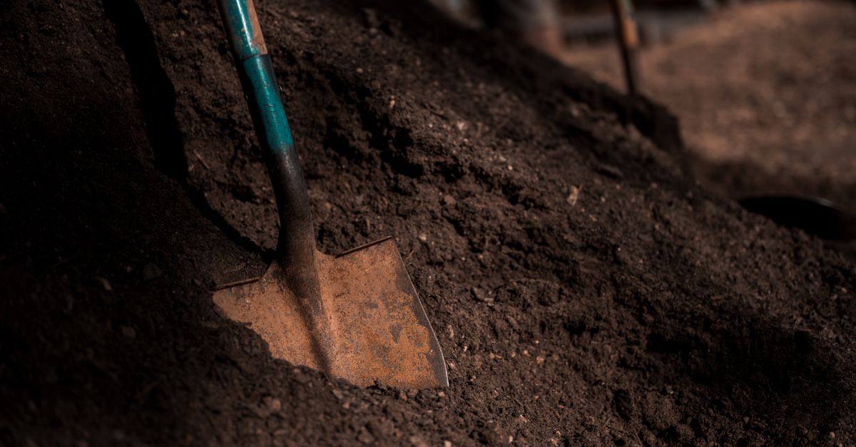 apprenez tout sur le compost : techniques, avantages et conseils pour transformer vos déchets organiques en un fertilisant naturel et écologique.