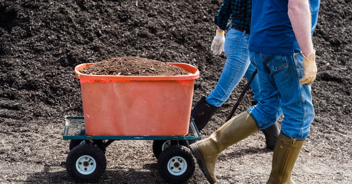 découvrez notre bac à compost écologique, idéal pour transformer vos déchets organiques en compost riche et naturel. facile à utiliser, parfait pour un jardin durable.