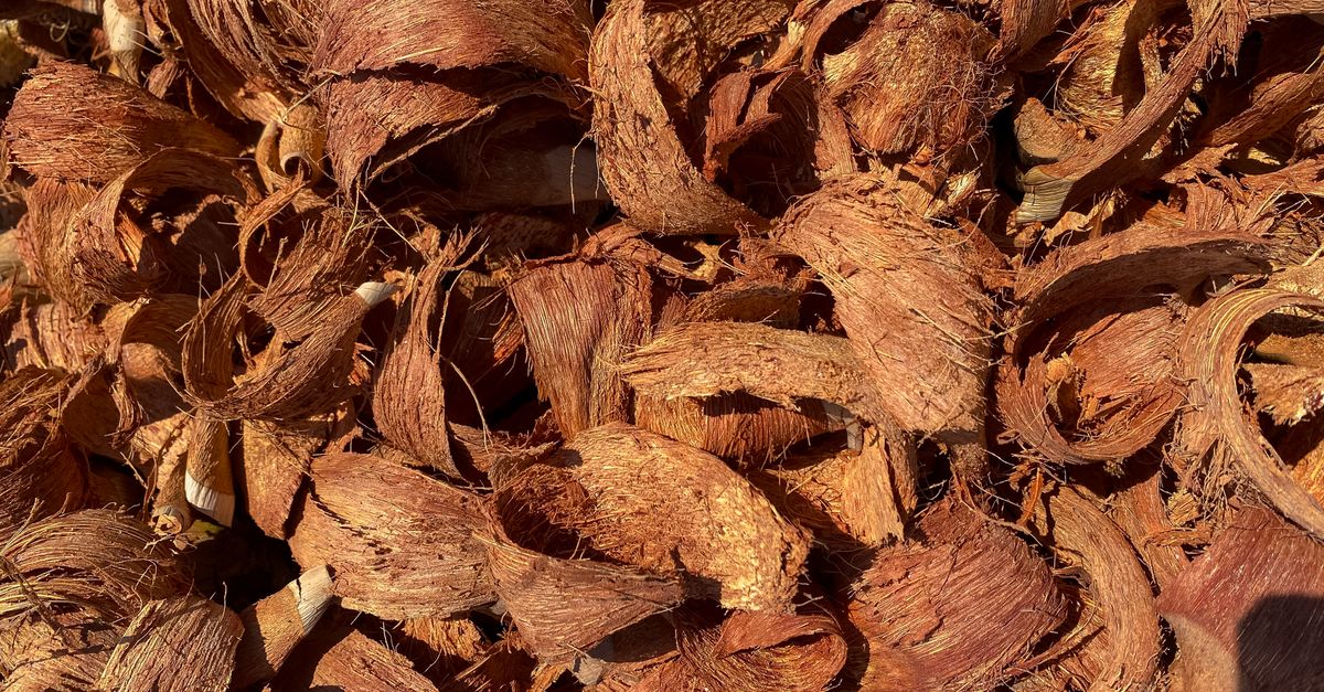 découvrez comment composter efficacement vos déchets organiques pour enrichir votre sol de manière naturelle et écologique.