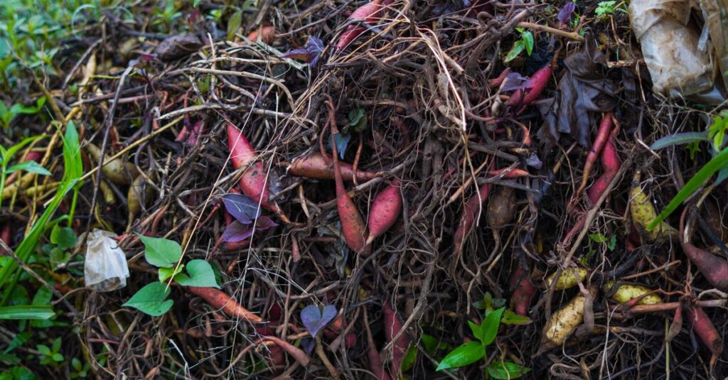 apprenez les bases du compostage, ses bénéfices pour l'environnement et comment transformer vos déchets organiques en un engrais naturel efficace.