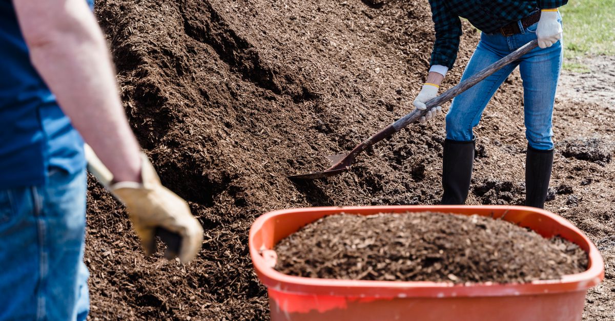découvrez les meilleures pratiques du compostage pour transformer vos déchets organiques en un fertilisant naturel et écologique, facile à réaliser chez soi.