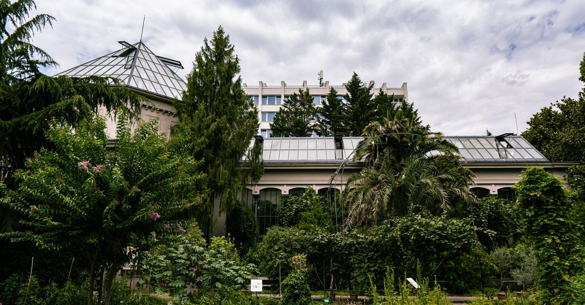 découvrez notre serre de jardin idéale pour cultiver vos plantes toute l'année, protéger vos semis et optimiser votre espace extérieur avec élégance et efficacité.