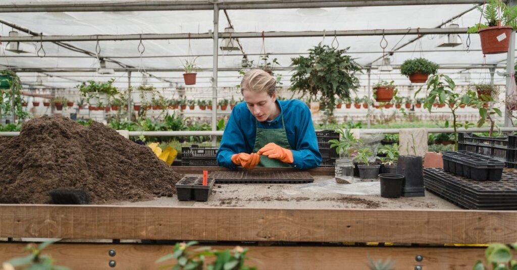 découvrez notre serre de jardin, idéale pour protéger et cultiver vos plantes toute l'année en bénéficiant d'un espace lumineux et contrôlé.