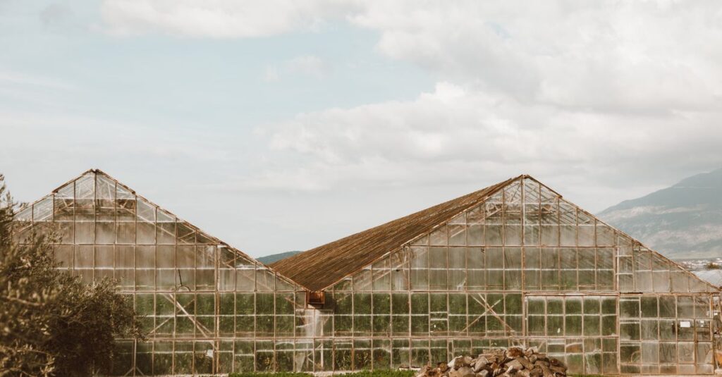 découvrez notre serre de jardin, idéale pour protéger vos plantes toute l'année et favoriser leur croissance dans un environnement contrôlé.