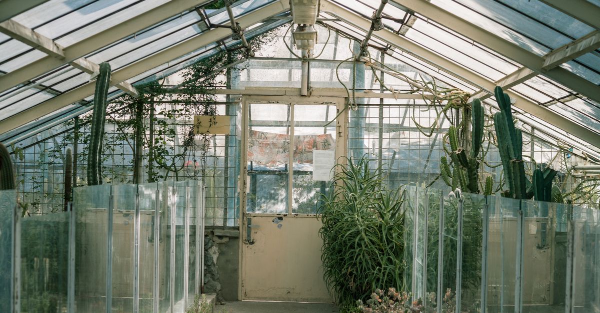 découvrez notre serre de jardin idéale pour protéger vos plantes et prolonger la saison de croissance tout en embellissant votre espace extérieur.