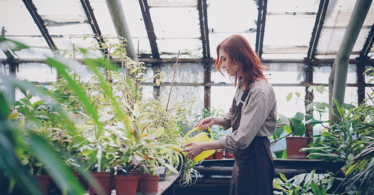 découvrez notre sélection de serres de jardin idéales pour protéger vos plantes et prolonger la saison de culture. installation facile et matériaux durables pour un jardin florissant toute l'année.