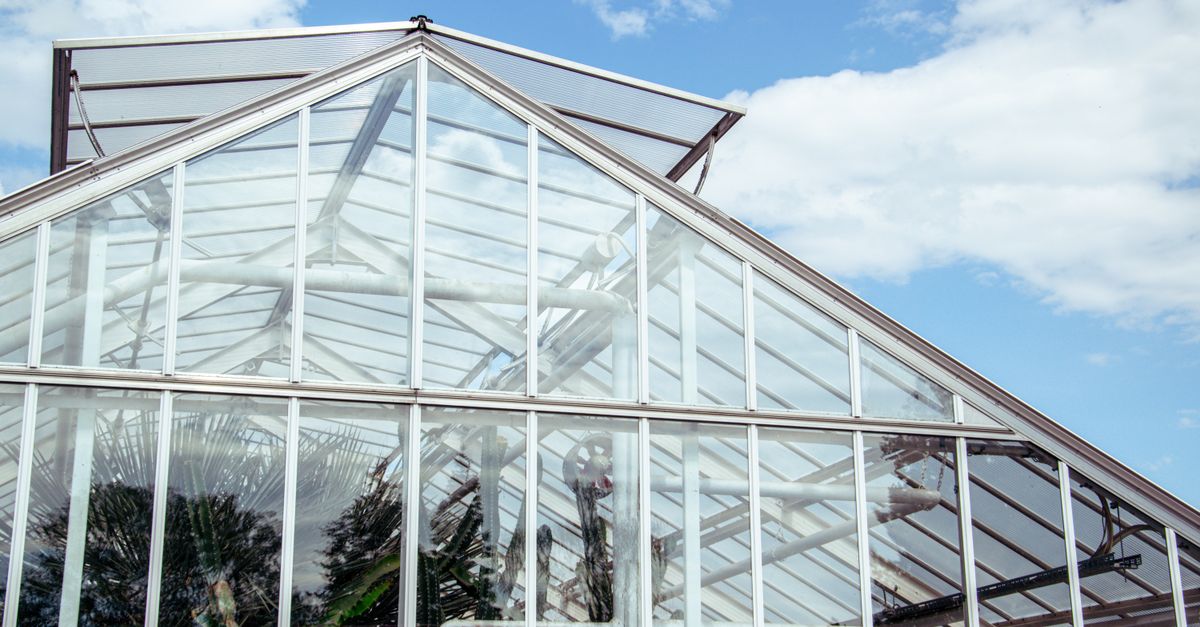 découvrez notre serre de jardin, idéale pour protéger vos plantes et cultiver vos légumes toute l'année dans un environnement contrôlé.