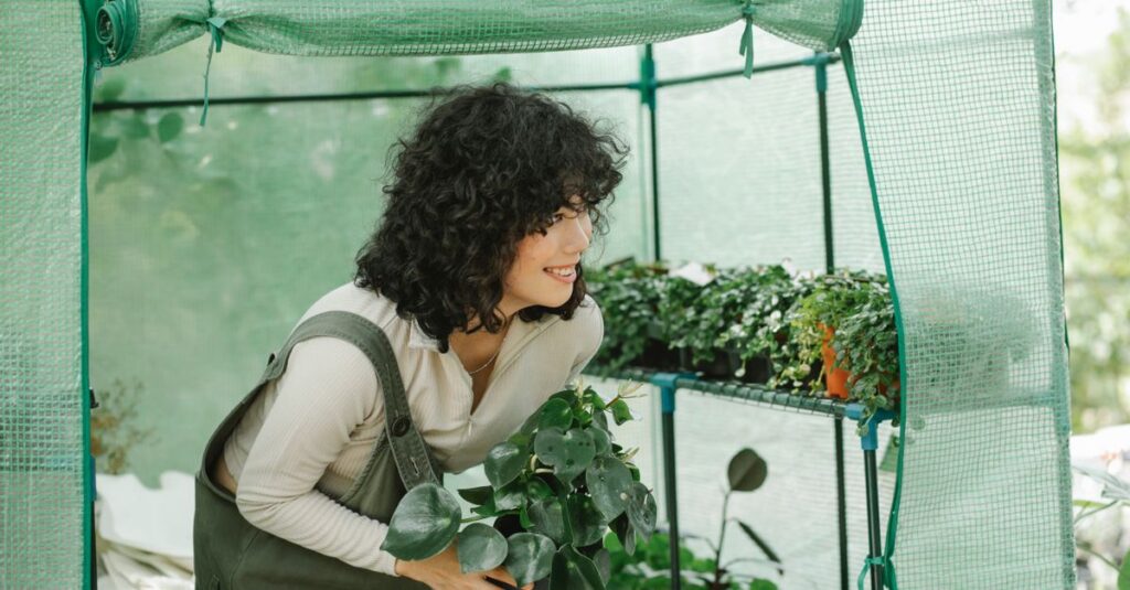 découvrez notre serre de jardin miniature, idéale pour protéger vos plantes, favoriser leur croissance et jardiner en toute saison, même dans les petits espaces.