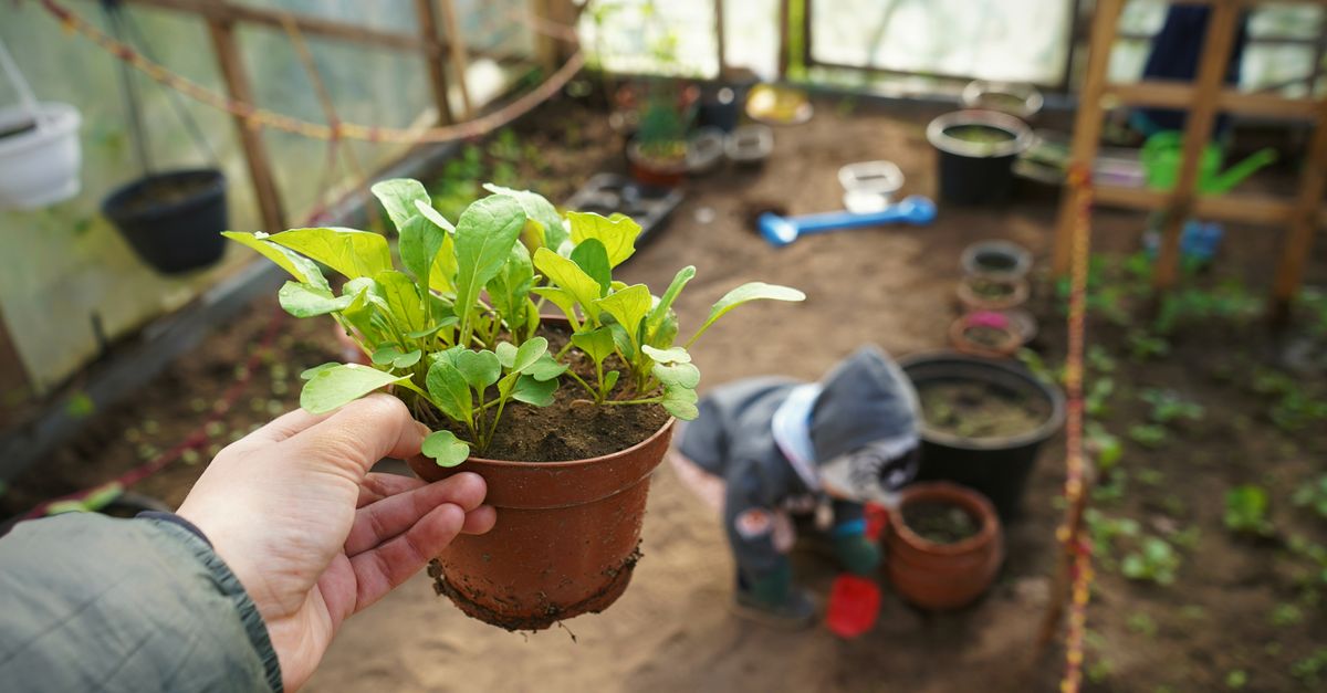 découvrez notre mini serre de jardin compacte, idéale pour protéger vos plantes et favoriser leur croissance toute l'année.