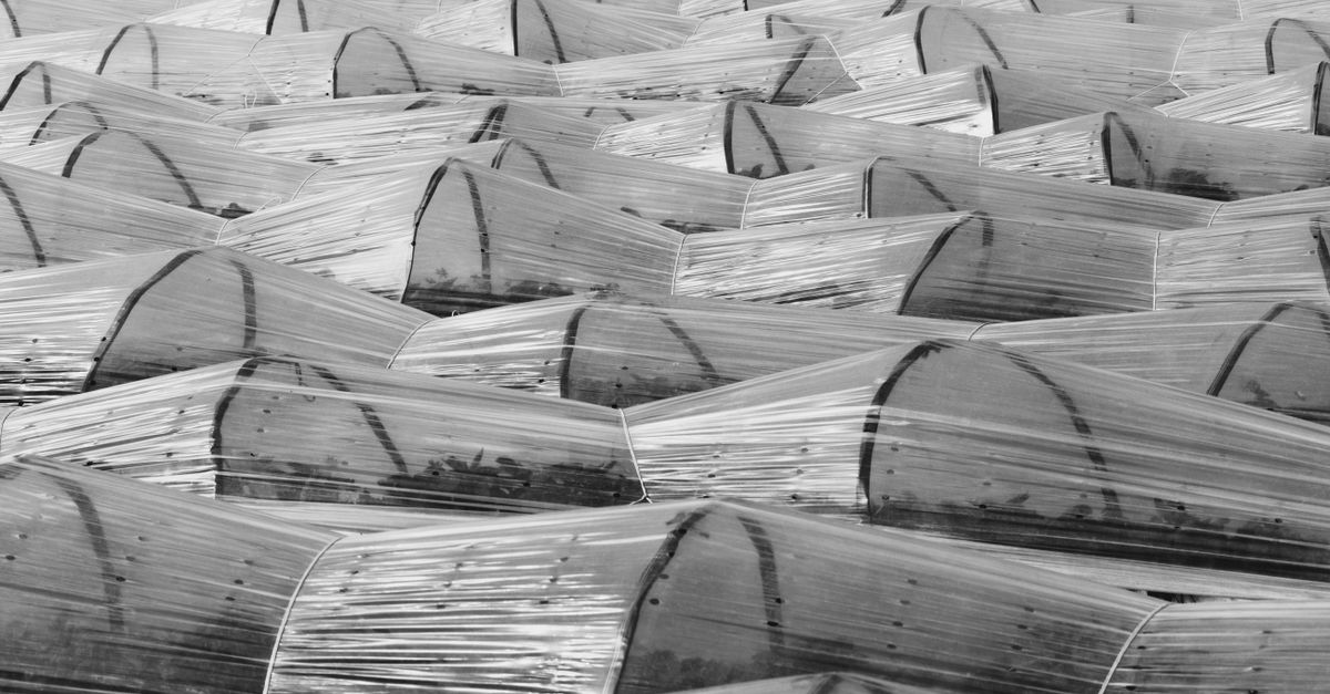 découvrez notre serre tunnel de jardin, idéale pour protéger vos plantes et prolonger la saison de culture avec une structure robuste et facile à installer.