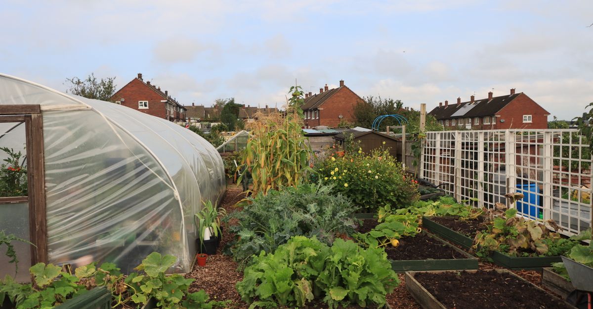 découvrez notre serre en polycarbonate, idéale pour protéger vos plantes toute l'année grâce à sa résistance et sa transparence optimale.