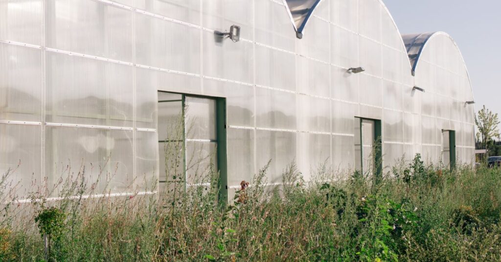 découvrez notre serre en polycarbonate durable et résistante, idéale pour protéger vos plantes toute l'année tout en bénéficiant d'une excellente isolation thermique.