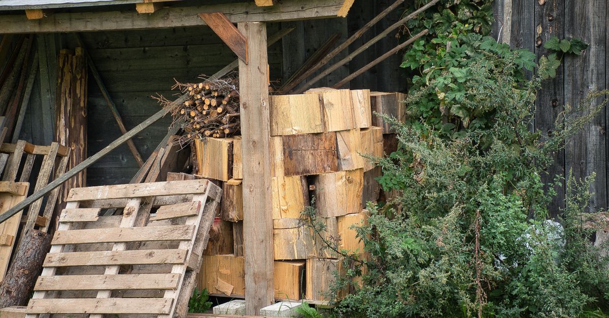 abri de jardin en bois durable et esthétique, parfait pour ranger vos outils et aménager votre espace extérieur avec style.