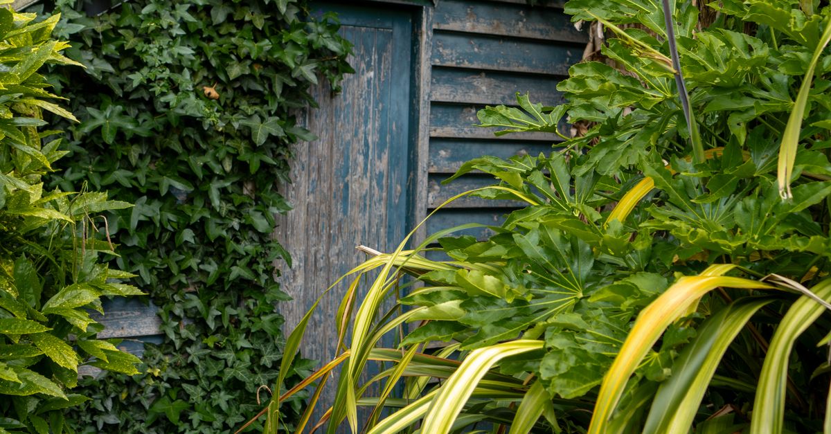 abri de jardin en bois durable et esthétique, idéal pour ranger vos outils et créer un espace supplémentaire dans votre jardin.