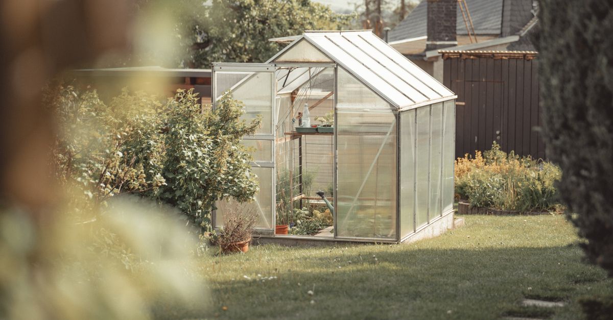 découvrez notre serre de jardin abordable, idéale pour cultiver vos plantes toute l'année en protégeant efficacement votre jardin.