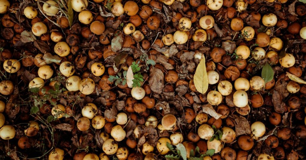 découvrez tout sur le compost : méthodes simples, avantages écologiques et conseils pour transformer vos déchets organiques en un engrais naturel et efficace.