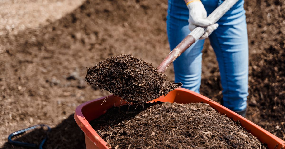 apprenez les bases du compostage, ses avantages pour l'environnement et comment transformer vos déchets organiques en un engrais naturel riche pour votre jardin.