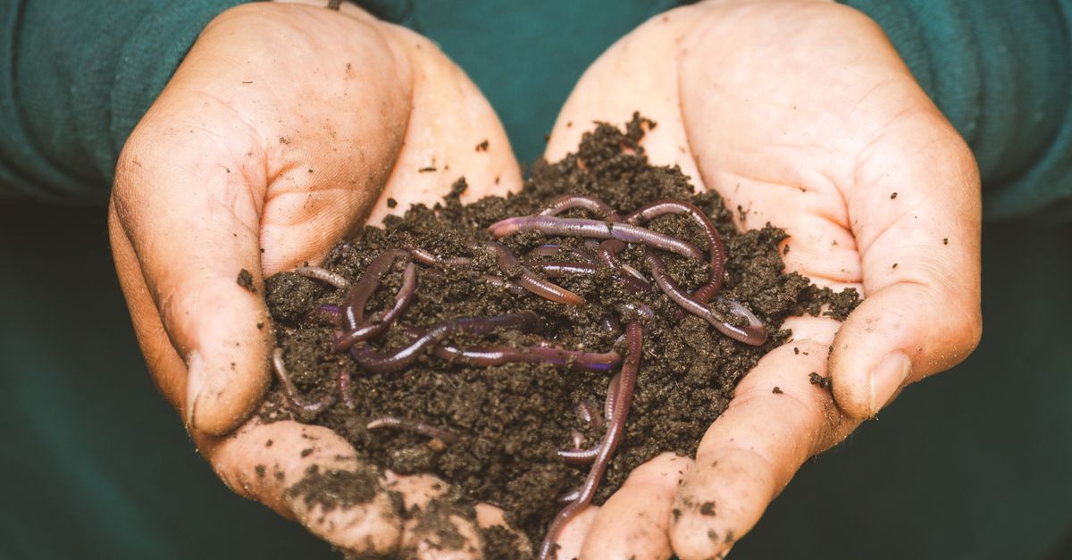 apprenez les bases du compostage, ses avantages pour l'environnement et comment transformer vos déchets organiques en un fertilisant naturel riche pour votre jardin.