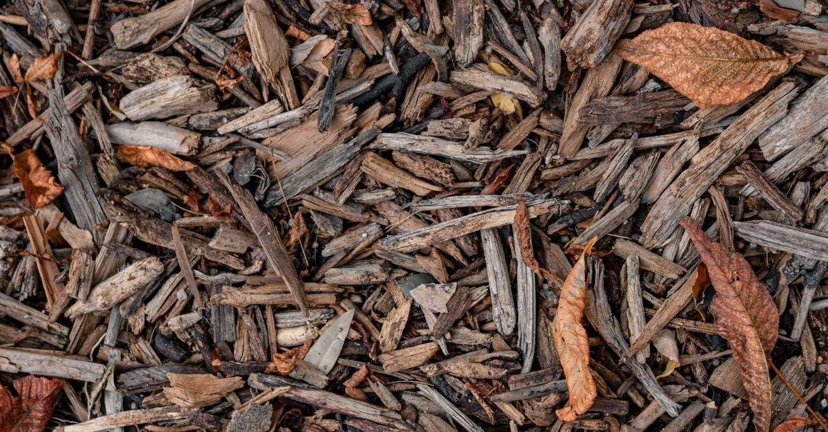 découvrez tout sur le compostage : astuces, méthodes et bienfaits pour transformer vos déchets organiques en un engrais naturel et écologique.