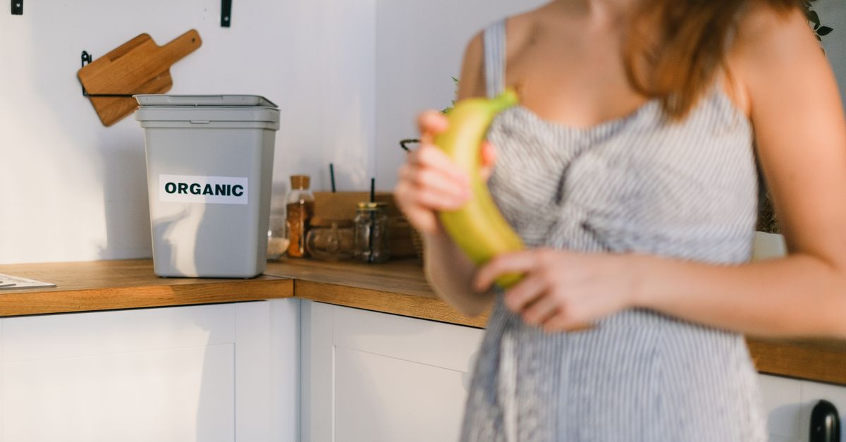 découvrez les avantages du compostage, une méthode écologique pour transformer vos déchets organiques en un engrais naturel riche et bénéfique pour votre jardin.