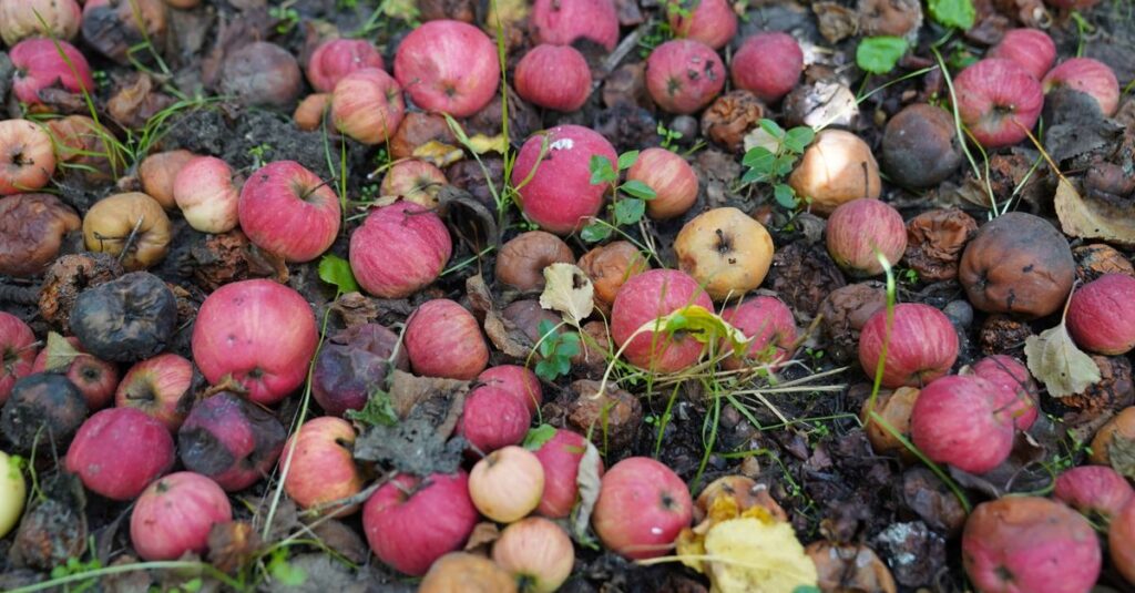 découvrez comment le compostage transforme vos déchets organiques en un engrais naturel riche pour un jardin sain et écologique.