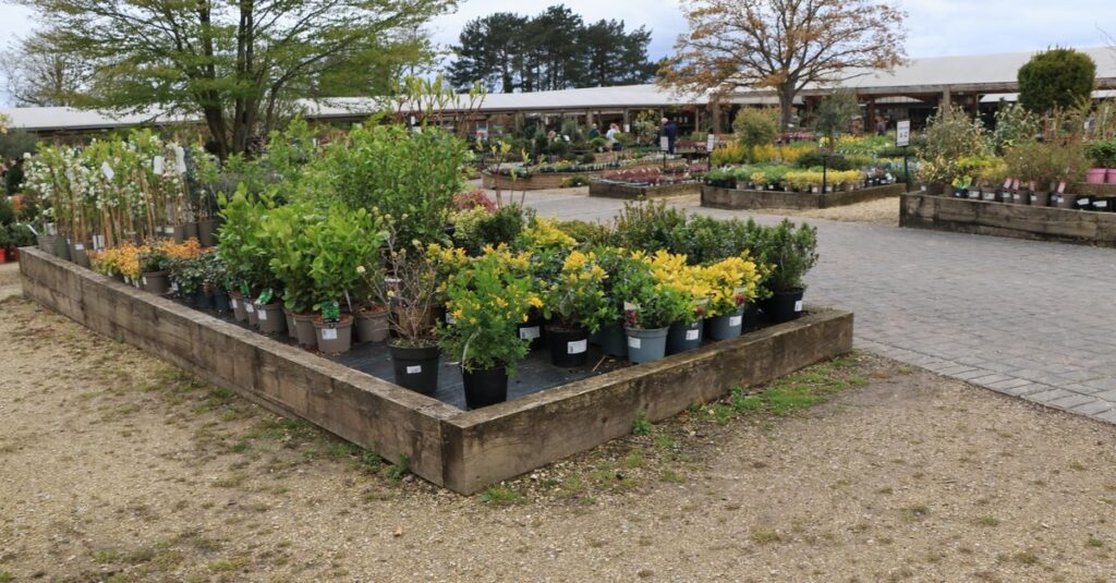 découvrez des idées innovantes et inspirantes pour l'aménagement et la création de jardins uniques, alliant esthétique et fonctionnalité.