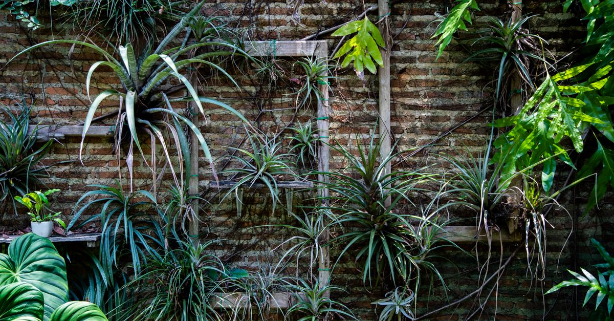 découvrez des idées innovantes et inspirantes pour la conception de jardins, alliant esthétique et fonctionnalité pour sublimer vos espaces extérieurs.