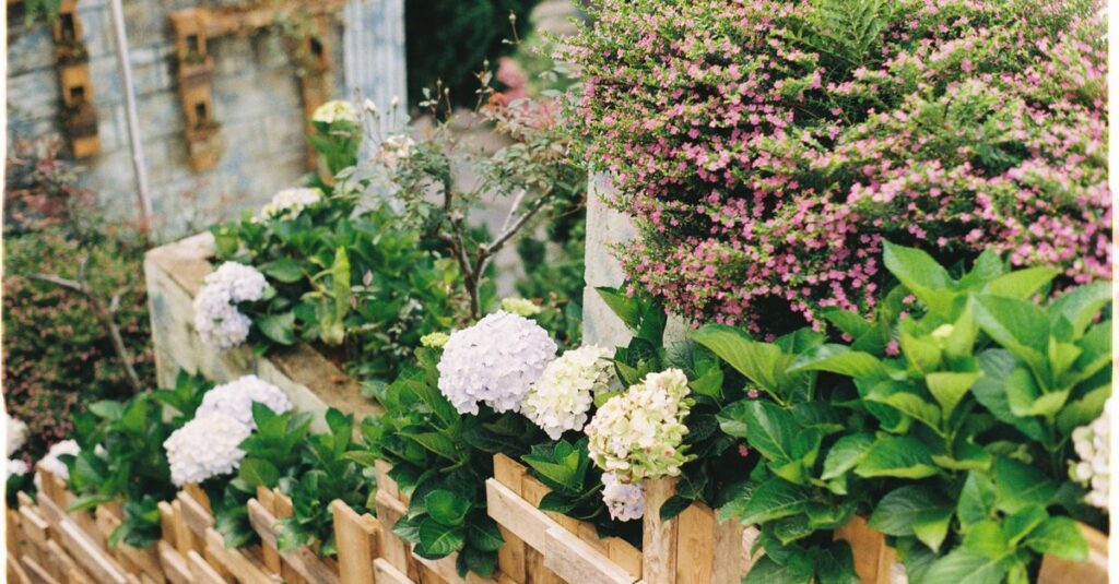 découvrez nos conseils et idées pour un design de jardin élégant et fonctionnel, alliant esthétique et harmonie avec la nature.
