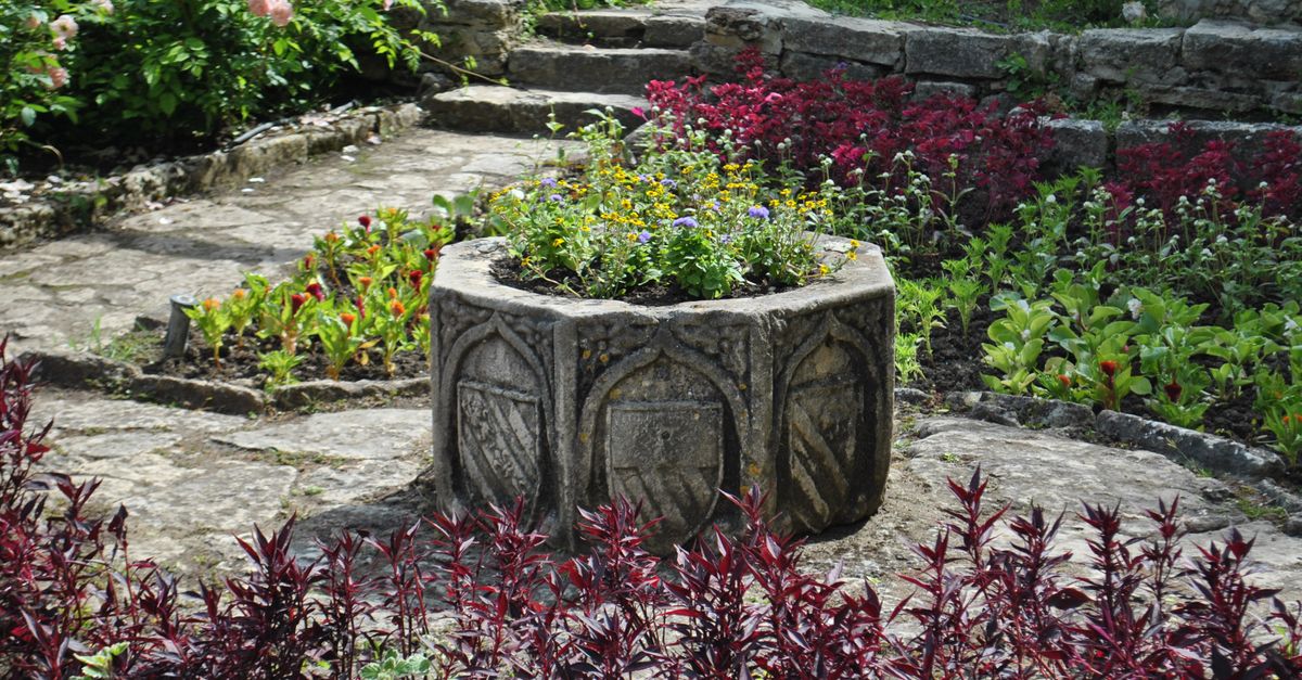découvrez des idées innovantes et des conseils pratiques pour concevoir le jardin de vos rêves, alliant esthétique et fonctionnalité.