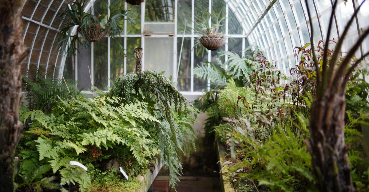 découvrez notre sélection de serres de jardin pour cultiver vos plantes toute l'année. qualité, durabilité et design pour protéger et embellir votre jardin.