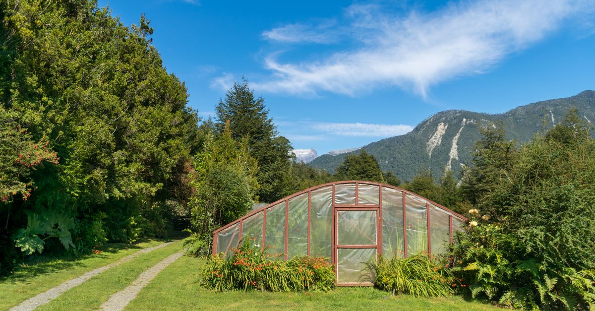 découvrez notre serre de jardin idéale pour protéger vos plantes et prolonger leur croissance toute l'année. facile à installer et résistante, elle offre un environnement optimal pour vos cultures.