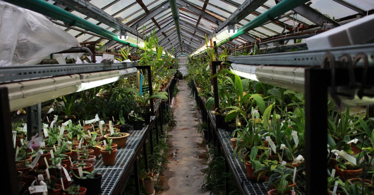 découvrez notre sélection de serres de jardin pour protéger et cultiver vos plantes toute l'année. idéales pour un jardinage réussi en toutes saisons.