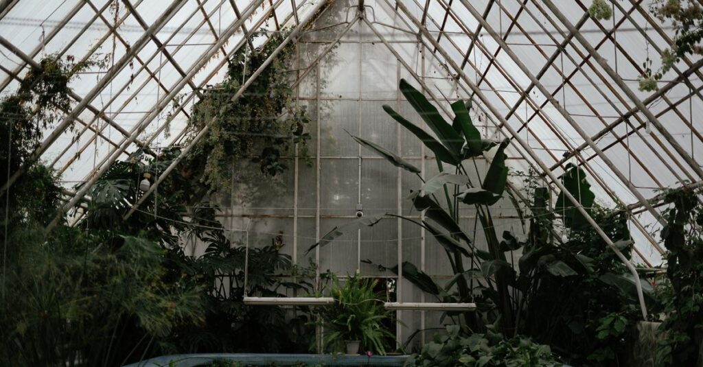 découvrez notre serre de jardin, idéale pour protéger vos plantes et prolonger la saison de croissance tout en créant un espace de culture optimal.