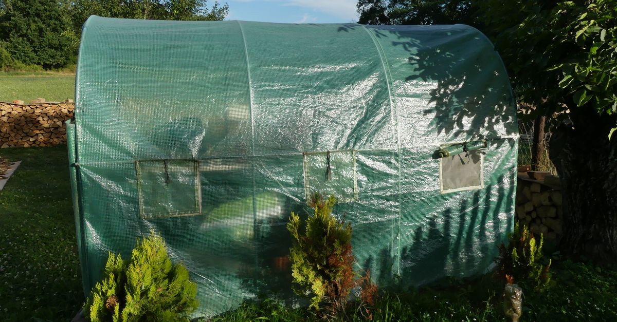 découvrez notre serre de jardin durable et facile à assembler, idéale pour protéger vos plantes toute l'année et optimiser leur croissance.