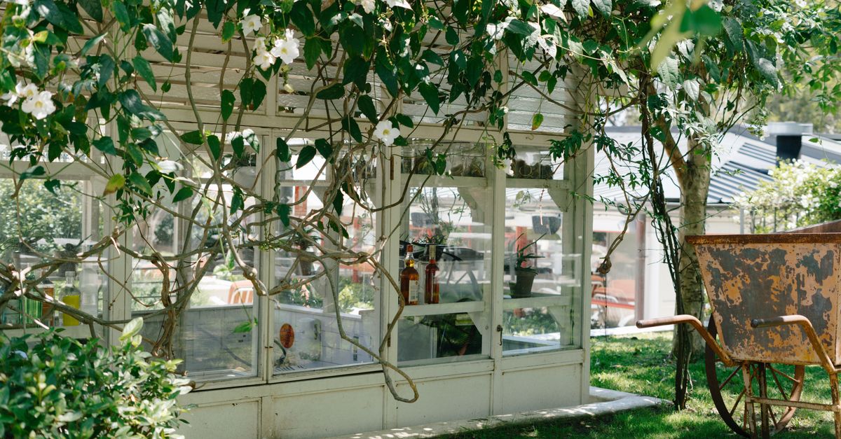 découvrez notre serre de jardin, idéale pour protéger vos plantes et prolonger la saison de culture. parfaite pour les passionnés de jardinage souhaitant créer un environnement optimal.