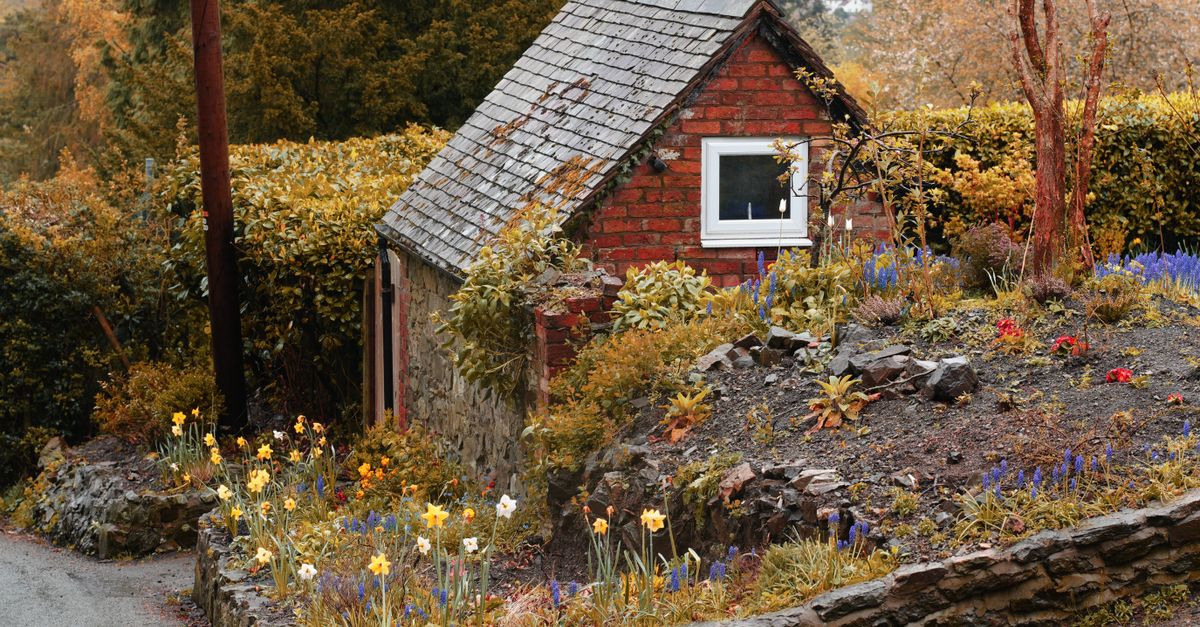 découvrez nos abris de jardin robustes et élégants, parfaits pour protéger vos outils et aménager un espace de rangement pratique et esthétique.