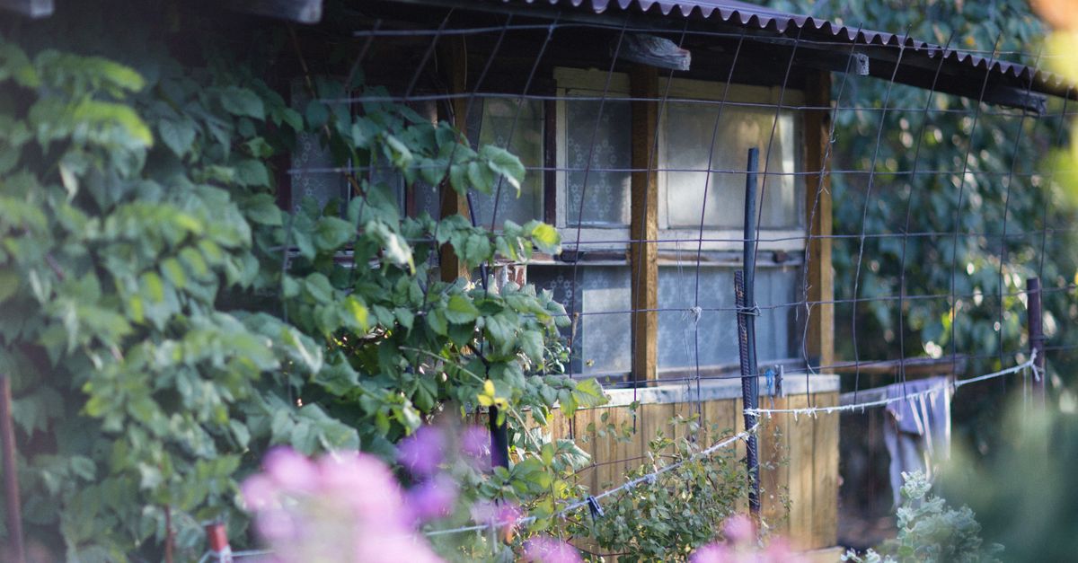 découvrez notre guide complet sur les abris de jardin : conseils d'achat, astuces d'installation et idées d'aménagement pour optimiser votre espace extérieur.