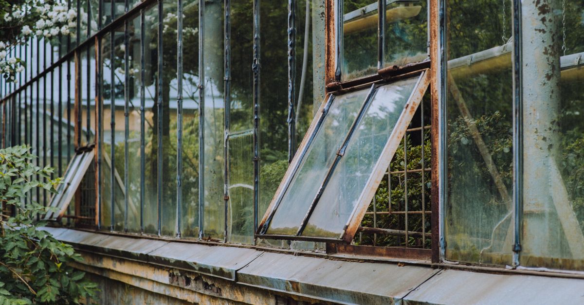 découvrez notre serre de jardin en verre, idéale pour protéger vos plantes tout en offrant une luminosité optimale. parfaite pour un jardinage toute l'année.