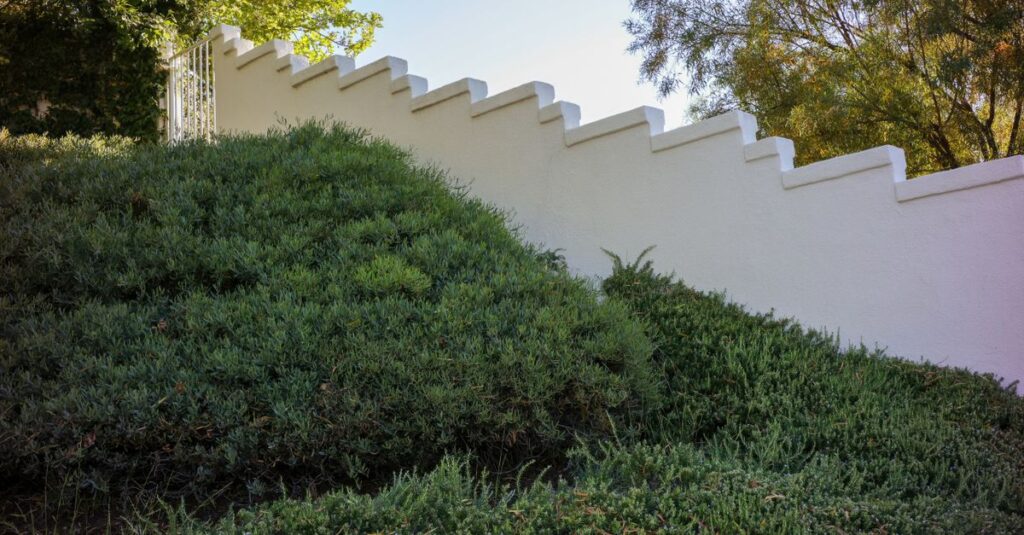 découvrez nos idées et conseils pour concevoir un jardin en pente alliant esthétique et fonctionnalité, adapté à tous les espaces.