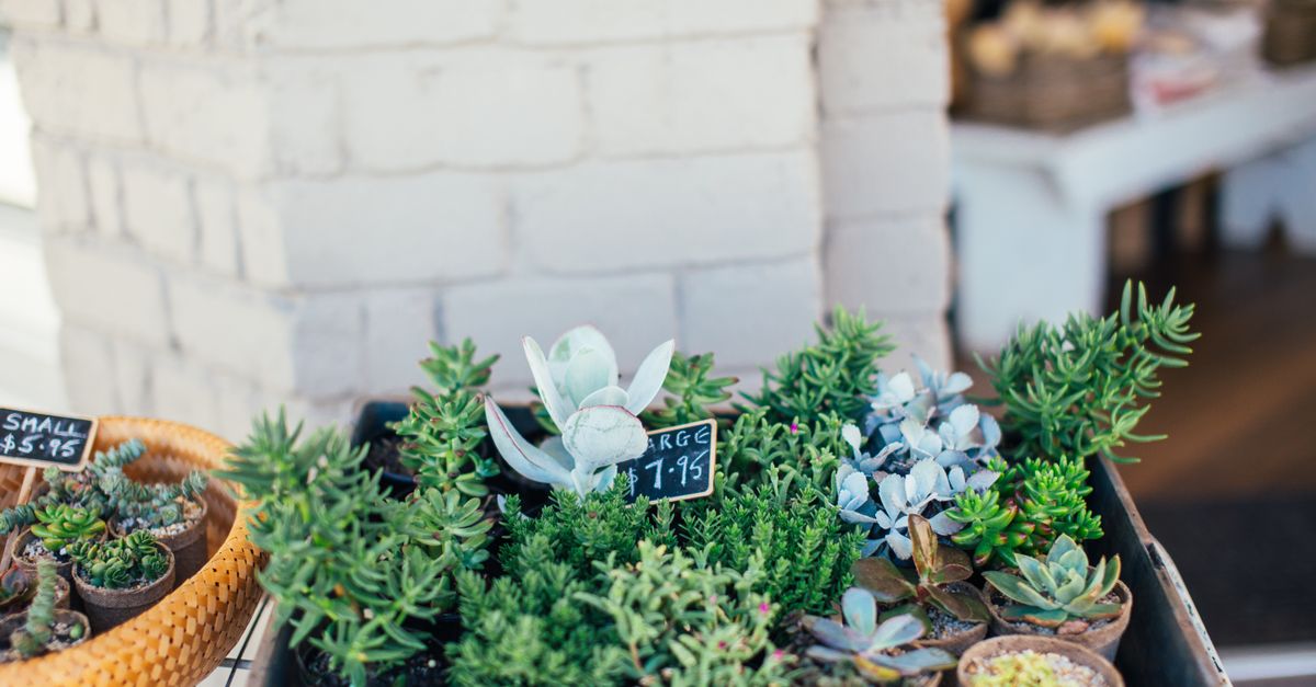 découvrez des idées ingénieuses de conception de petits jardins pour maximiser l'espace et créer un coin de verdure charmant et fonctionnel.