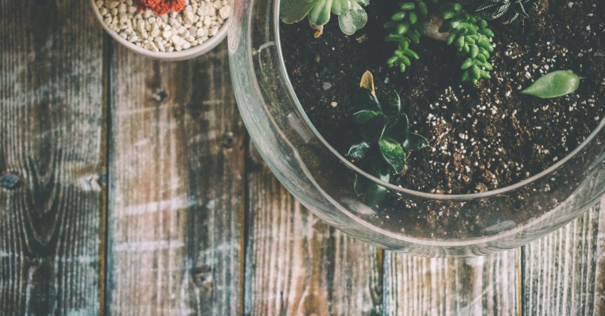 découvrez nos idées et astuces pour un petit jardin design, alliant fonctionnalité et esthétique pour un espace extérieur charmant et optimisé.